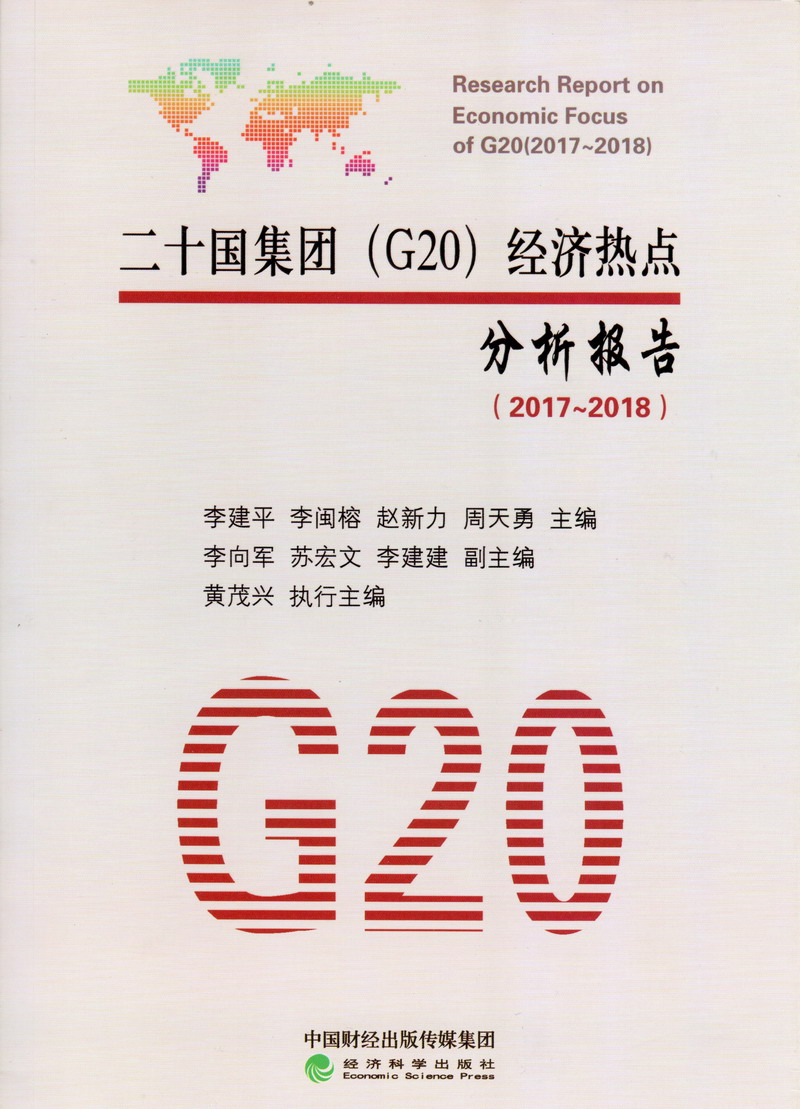 大屌操紧逼视频二十国集团（G20）经济热点分析报告（2017-2018）